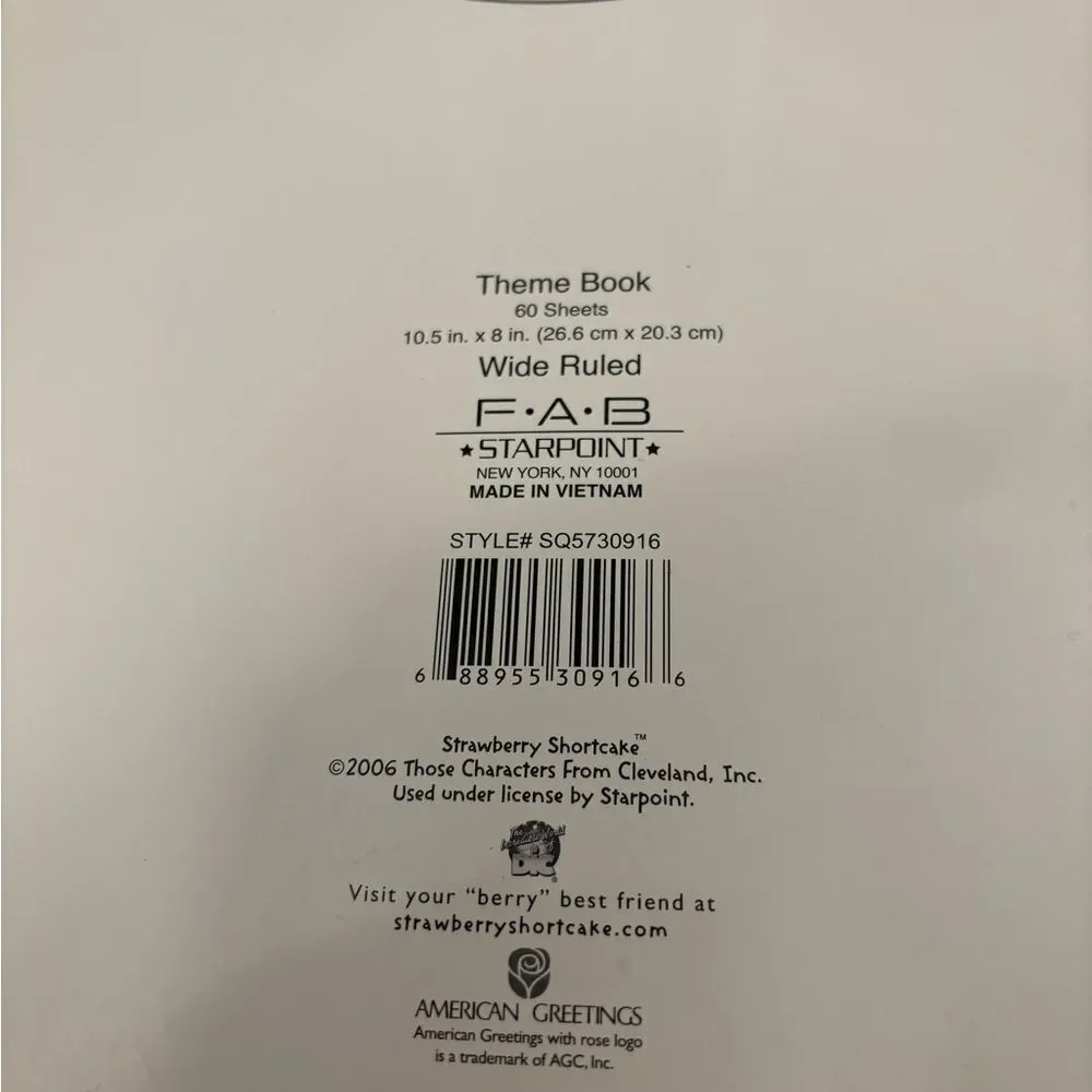 Strawberry Shortcake y2k 2006 lined paper spiral notebook unused